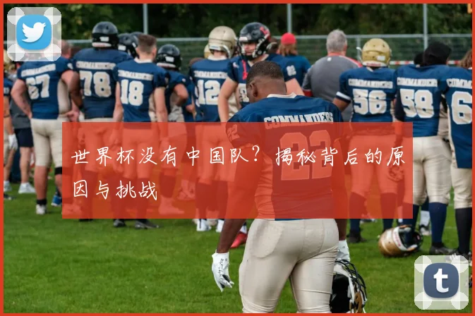 世界杯没有中国队?揭秘背后的原因与挑战